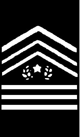 W-2 Chief Warrant Officer 2 No equivalent cadet rank Mr.