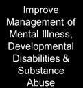 Reduce Health Risks & Diseases Improve Management of Mental Illness, Developmental Disabilities & Substance Abuse Improve Access to Public Facilities Increase Economic