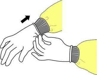 How to Don Gloves Don gloves last Select correct type and size