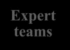 Key factors of success - Expert