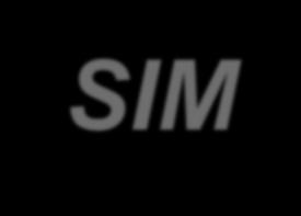 SIM Career Progression O4 O O6 SIM SCP SIM EA or DH, SIM