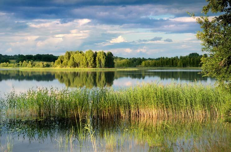 GREEN COUNTRY Latvia is also one of the top greenest countries in the world.