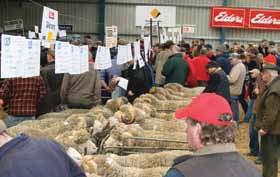 INVENTIONS SHEEPVENTION 2011 A major competition designed to stimulate the invention, manufacture and display of new items and equipment, that will be of benefit to the sheep and wool industry and to