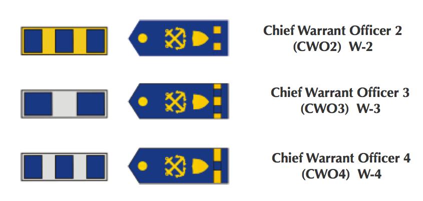 Warrant Officers are commissioned officers as well.