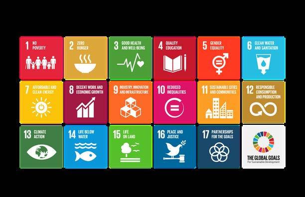 The potential of Information and Communication Technologies (ICT) to be useful tools for positive international development has been mirrored in the Sustainable Development Goals (SDGs) where ICT can