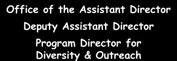 Directorate for Engineering FY 2010 Emerging Frontiers in Research & Innovation (EFRI) $29M $765M Office of the Assistant Director Deputy Assistant Director Program Director for Diversity & Outreach