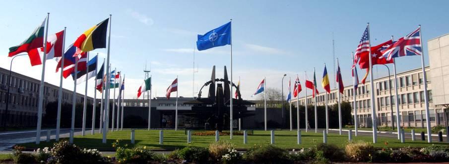 for standardization activities NATO Standardization Agency provides support to