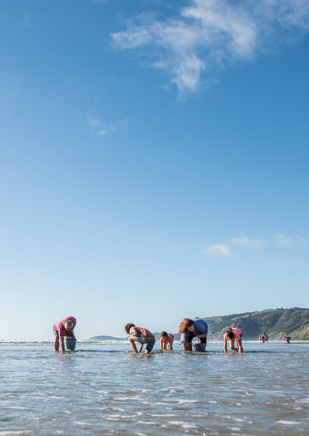 He kai kei aku ringa Growing food with our own hands: Māori economic
