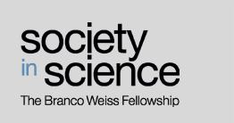 Society in Science - The Branco Weiss Fellowship http://www.society-in-science.