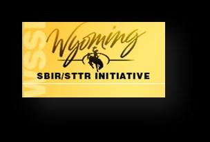 Wyoming SBIR/STTR Initiative The Mission of the WSSI is to assist all qualified Wyoming small businesses and individuals in accessing the federal funding opportunities provided by the Small Business