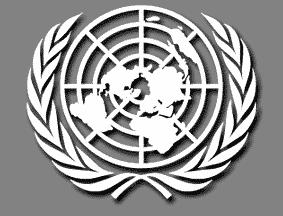 United Nations Department of Peacekeeping Operations Department of Field Support Ref. 2010.