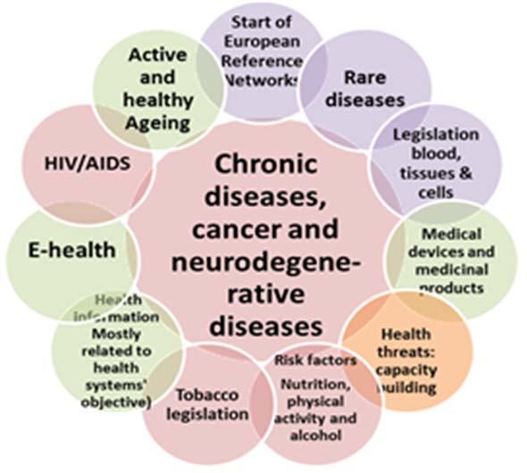 2014 2015 Focus on thematic priorities Example: Risk Factors and Chronic Diseases 2014 2015 Annual work programme - Consultation of Member States (via Programme Committee) and Parliament -