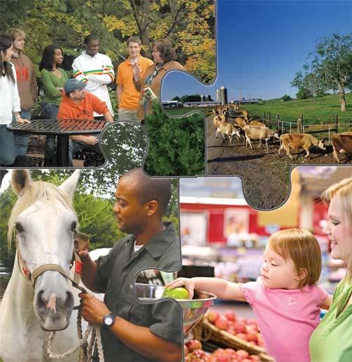 UTIA The University of Tennessee Institute of Agriculture (UTIA), through its colleges, research and education centers, and county extension offices, serves the people of Tennessee and beyond through