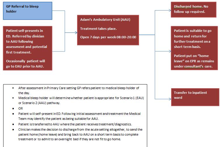 6.3.2 Pathways An example of an ambulatory care pathway for medical patients in Oxford is shown below: 6.3.3 Interdependencies Figure 6.