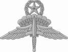 AFI 36-2903 18 JULY 2011 185 ARMY Combat Infantryman Badge Combat Medal Badge Air Assault Badge Expert Infantryman Badge Parachutist Badge (Levels: Basic, Senior, Master) Parachute Rigger Badge