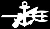 Weapons Security Insignia Fleet Marine Force No