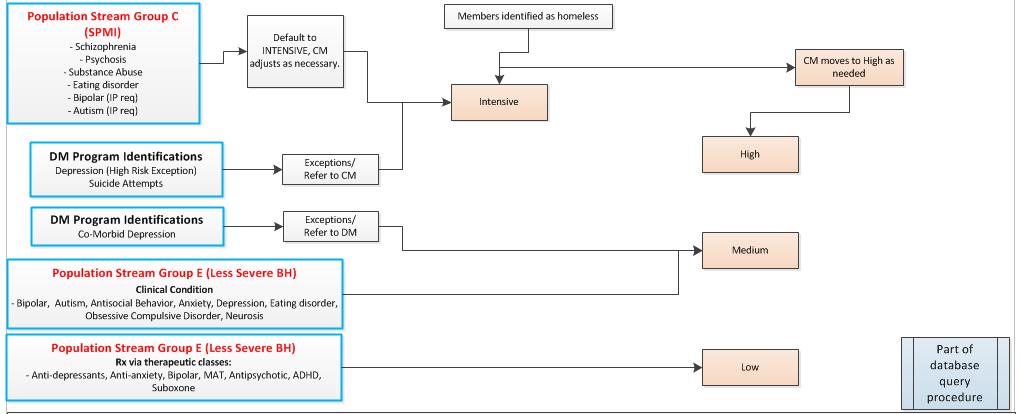 Maternal and Child Health risk workflow 2