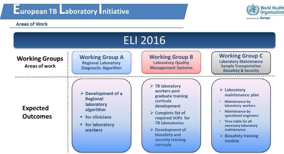 Figure 2: ELI Working Groups, their areas of work and expected outcomes 2.2 List of proposed actions and implementation time frame ELI Working Group A Proposed action A.