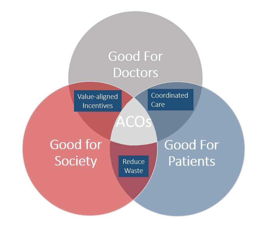 Accountable Care: Lasting Health Care Reform Accountable Care Organizations (ACOs) are groups of providers who