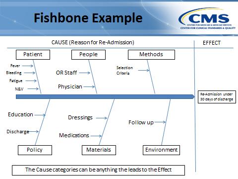 Fishbone Example