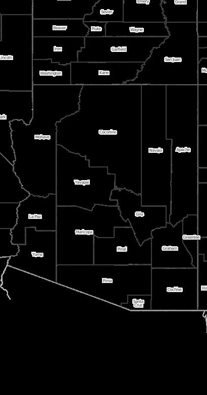 209 Arizona providers were EPCS enabled