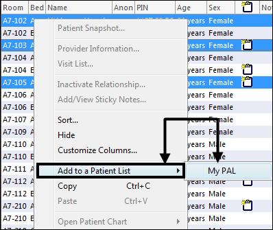 18. Next, hold down the Ctrl key on your keyboard and click another patient on this list. The Ctrl key allows you to select patients randomly. 19.