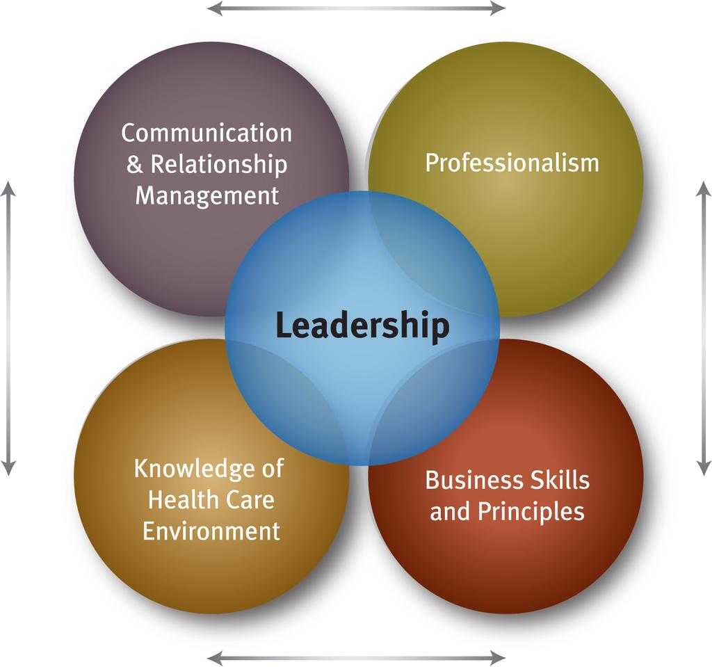 OVERVIEW Nurse Leaders in executive practice set the vision for nursing practice in the delivery of safe, timely, efficient, equitable and patient-centered care.