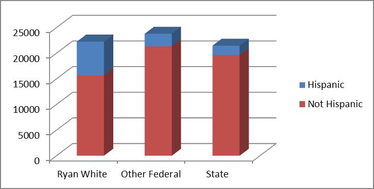 Demographics of Clients Served by Race