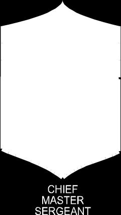 of uniform worn Rank insignia