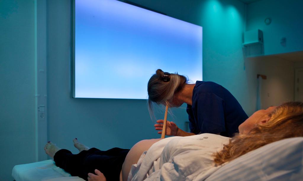 Results from the Evaluation of Sensory Delivery Rooms at North Zealand Hospital The overriding objective of the project is to create better birth experience for the mother/partner and newborn.
