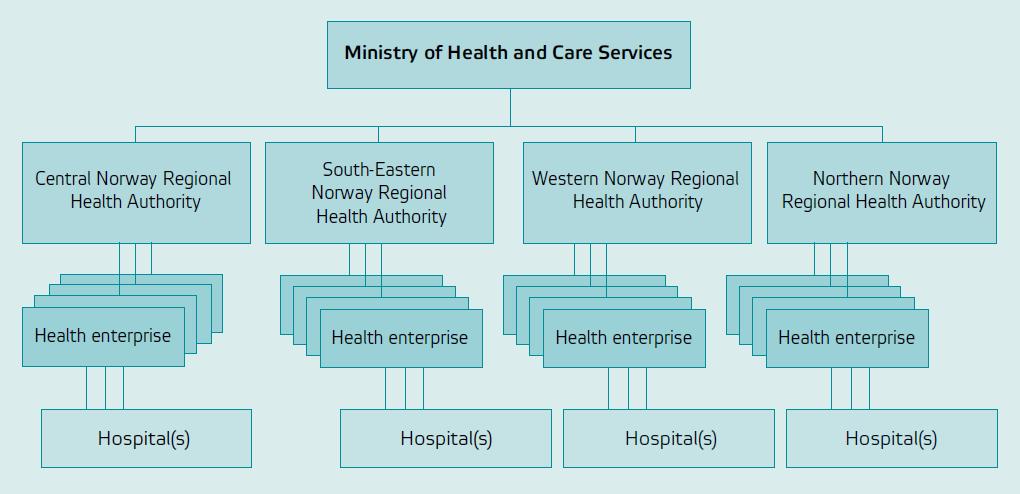 These RHAs own 18 independent legal bodies known as local hospital trusts or enterprises that are responsible for providing specialist care, which includes hospitals (see Figure 2).