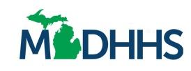 STATE OF MICHIGAN Department of Health Human Services Community Services Block Grant Planning Application for FY 2017 Bureau of Community Action and Economic Opportunity Grand Tower Building 235 S.