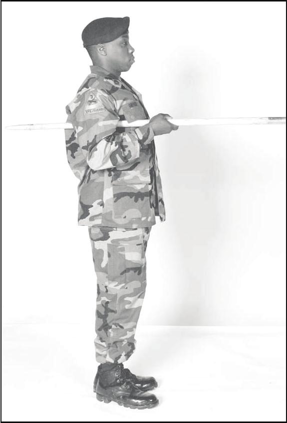 Appendix H H-6. PRESENT GUIDON To assume this position, execute the following actions. a. On the preparatory commands for Present, ARMS and Eyes, RIGHT, execute Raised Guidon.
