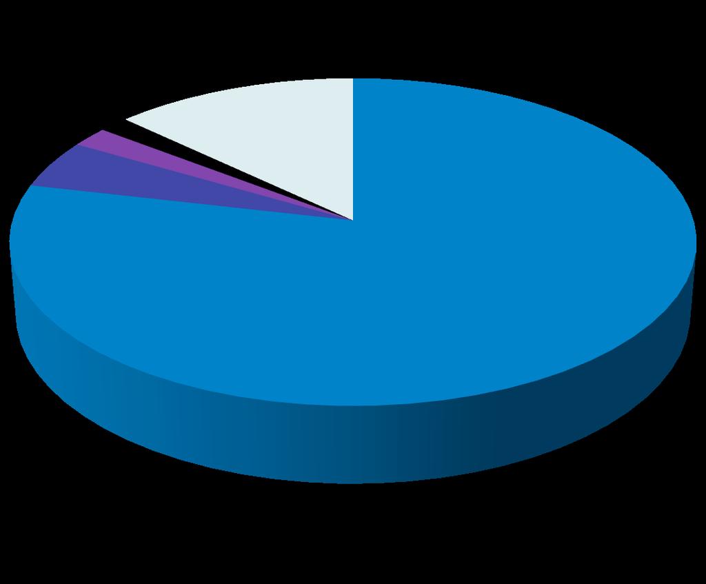 HCH Grantee Patients - 2010 1% 5% 2% 13% 100% and