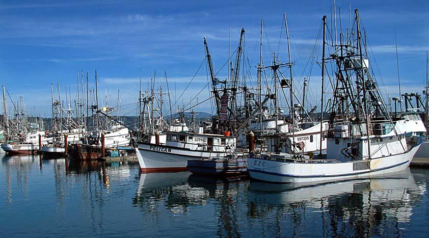The harbor at Newport. Addressing Emerging Coastal Issues The Oregon coast was a hotbed of major new coastal and ocean activities that made front-page news across the state.