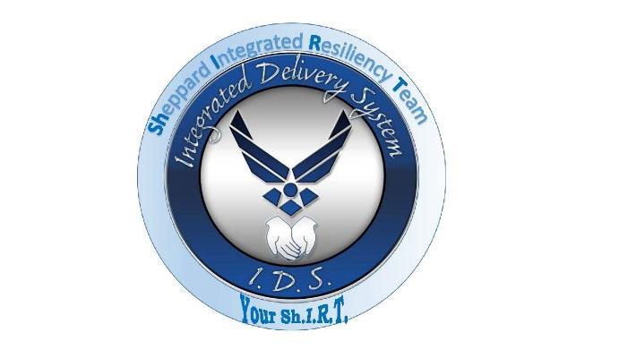 Wing recognition 20 credit hours, Four domains, 5 Credit hours each Domain 1 Class =