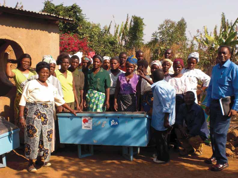 Increasing productivity in drying Bvumbwe vegetables South Africa
