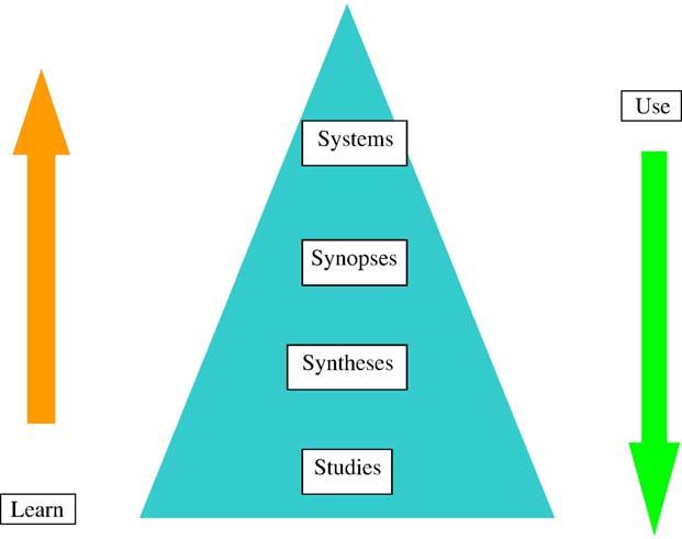 348 Figure 1. The b4sq levels of organization of evidence from research. Adapted from Haynes (2005).