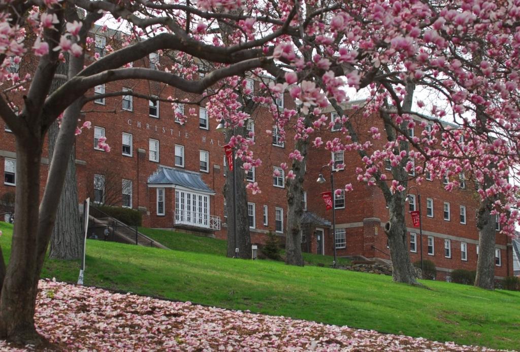 Opportunities and Challenges Nyack College and the Vice President of Enrollment have opportunities and challenges.
