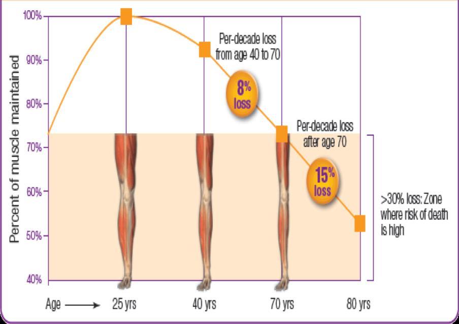 loss of muscle mass with age 1-6