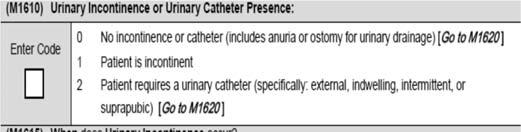 0-No incontinence or anuria Patient has anuria or an ostomy for urinary drainage