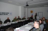 training to the Alliance and Partner forces developing
