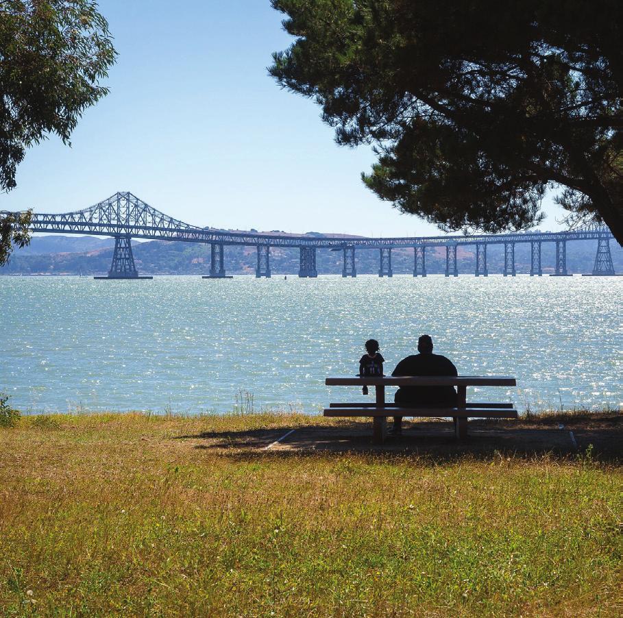 Resilient by Design builds on a well established Bay Area commitment to strengthen regional resilience by preparing communities to not only survive shocks and stresses, but also to thrive through