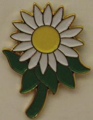 Outstanding service and dedication to the organization Any individual or group N/A Certificate, suitable for framing Girl Scouts of Eastern Missouri Daisy Pin Leader, Neighborhood Service Team