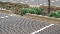 paving areas and surface runoff as well as enhancing the aesthetic character of