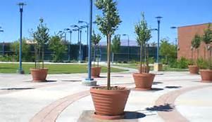 Examples of Enhanced Landscaping & Site Amenities at Building Entries 21.