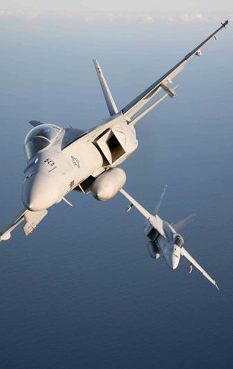 We Train the Experts The Flying Eagles saw new life in January 1999 when VFA-122 was established to train aviators for the FA-18E/F Super Hornet.