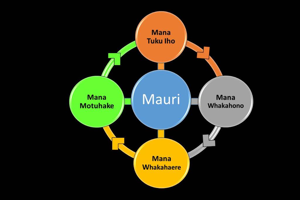 Mana Tuku Iho (Indigenous Values and Rights) whakawhanaungatanga. Kaitiaki roles and kaitiakitanga responsibilities.