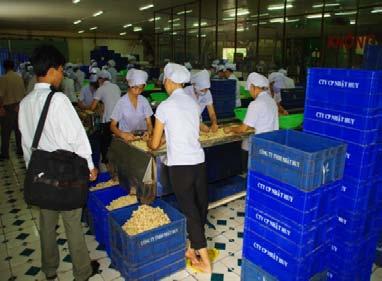 Visit to Cashew Nut Factory