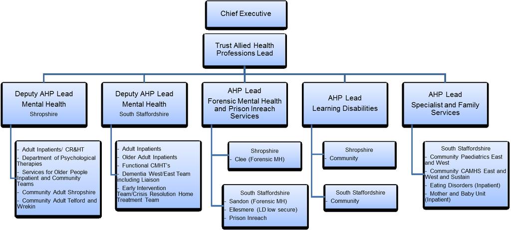 AHP Governance Structure Appendix 1 Each AHP Lead has a detailed supervision and governance